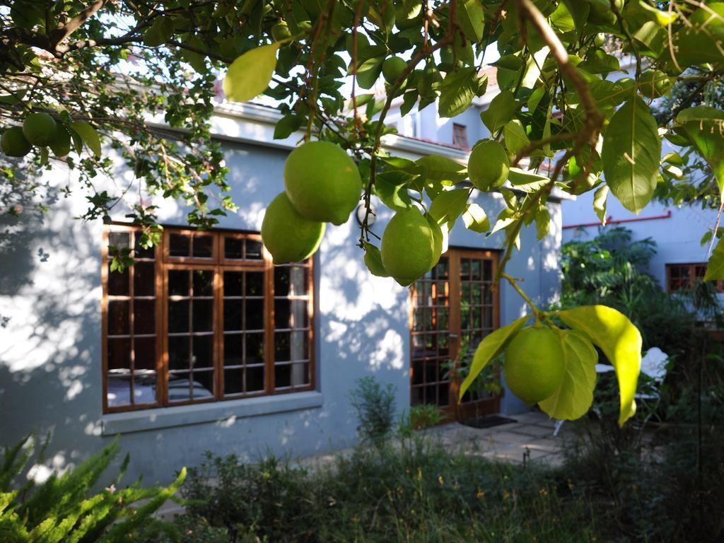 House Of House Guest House Stellenbosch Exterior foto